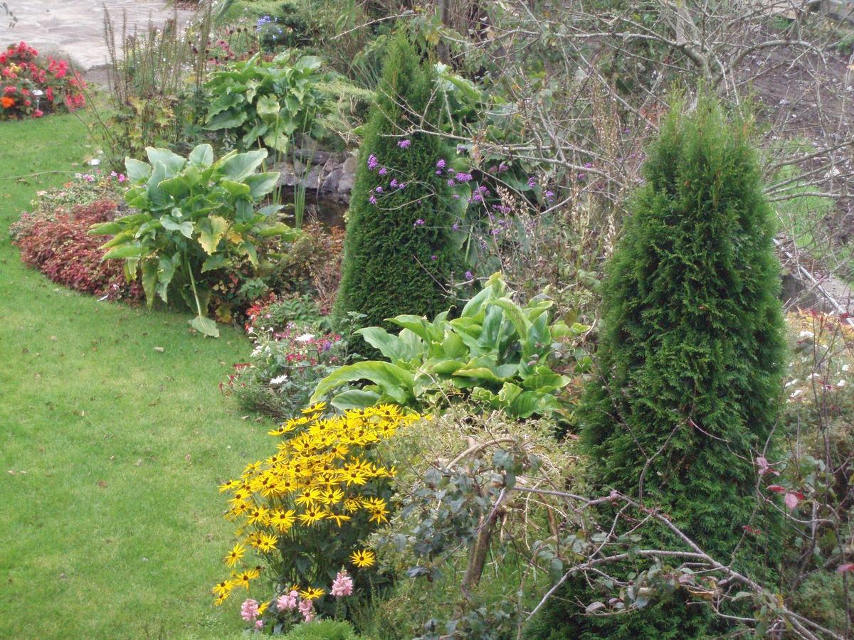 Rosdarrig Bed & Breakfast Бойл Экстерьер фото